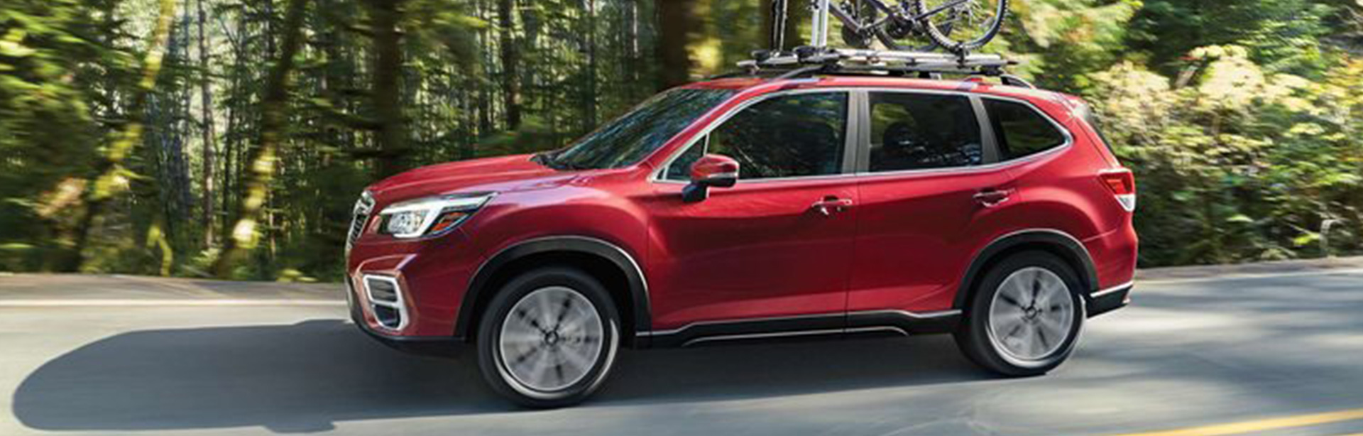 2020 subaru discount forester bike rack